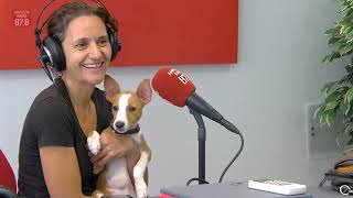 Engrescats ens presenten a GALLETA CON NATA