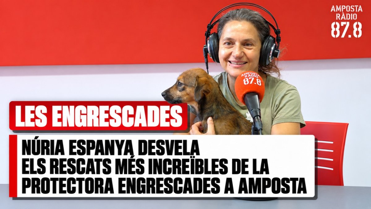 Núria Espanya desvela els rescats més increïbles de la protectora Engrescades a Amposta