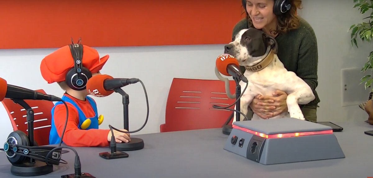 Engrescats ens presenta a TANGO, el veterà de la PROTECTORA i que ja vol una família que l’adopti