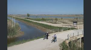 Agricultura té una petició del Ministeri per prohibir la caça als filtres verds de Delta i n´iniciarà els tràmits