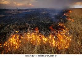 Disminueixen els incendis originats per cremes agrícoles a les Terres de l´Ebre durant els últims anys