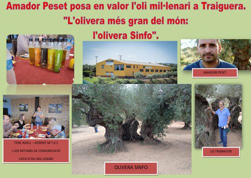Lo Trobador: Amador Peset posa en valor l’oli mil·lenari a Traiguera