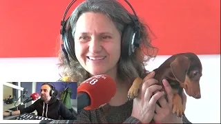 Les Engrescades: La història de la Marge, una teckel amb por, i el projecte de la nova protectora