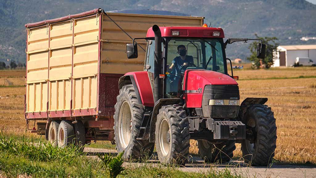 La Càmara Arrossera d’Amposta vetarà els vehicles sense coberta per a evitar emissions de pols de l’arròs