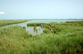 La renovació d´aigua a les badies del Delta es farà combinant l´obertura de desguassos i la meteorologia favorable