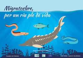 Presentació del llibre “MigratoEbre. Per un riu ple de vida”   