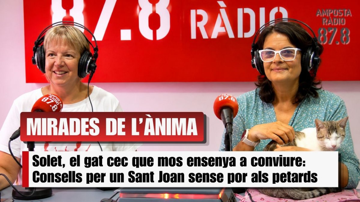 La vida d&rsquo;un gat cec: L&rsquo;història de Solet i la crida al respecte pels animals