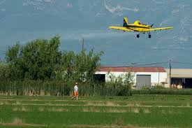 El COPATE realitza el primer tractament dirigit a les larves dels mosquits que es generen als arrossars perimetrals dels nuclis urbans i urbanitzats del Delta de l’Ebre.