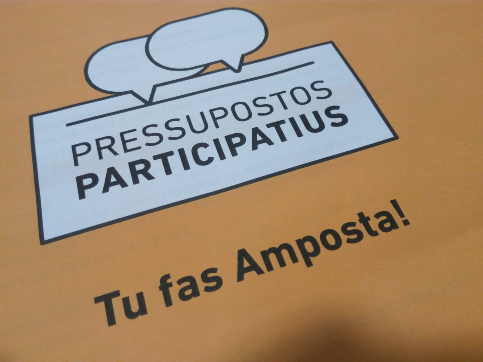 Els majors de 16 anys escolliran on invertir 150.000 euros del pressupost del 2019 entre deu propostes
