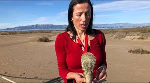 ENTREVISTA A PATRICA PRADO- INVESTIGADORA DE L’IRTA