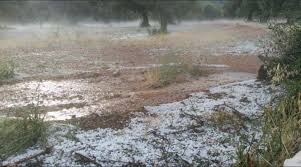 Unió de Pagesos demana al Departament d’Agricultura una valoració ràpida dels danys ocasionats per la pedregada del dissabte al Montsià  