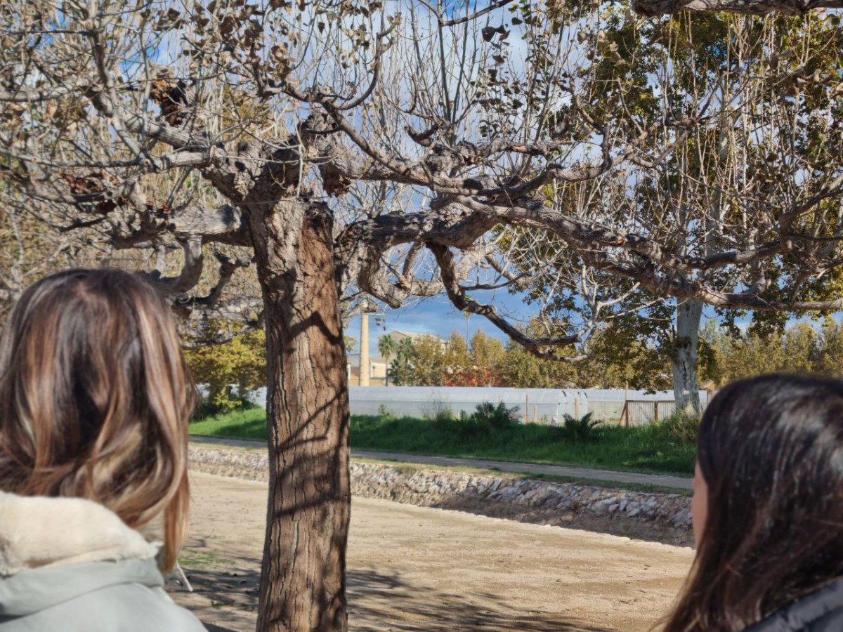 L’Ajuntament comença a treballar en un Pla director del verd urbà