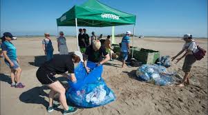 Voluntaris netejen de plàstics les platges d´Eucaliptus i el Trabucador