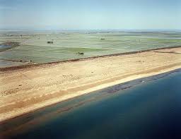 El Parc Natural del Delta de l´Ebre inicia la protecció de la vegetació natural de la platja del Serrallo