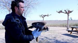 ENTREVISTA A FRANCESC VIDAL -DIRECTOR DEL PARC NATURAL DEL DELTA DE L’EBRE
