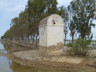 Inauguració de l’exposició Construint el territori. Arquitectura tradicional i paisatge a Catalunya