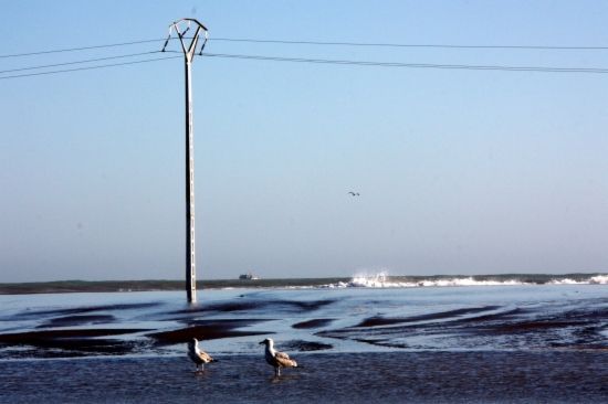 El Ministeri de Medi Ambient retirarà l´antiga línia elèctrica aèria de la barra del Trabucador