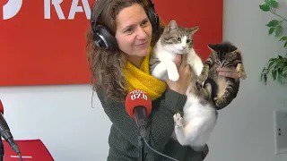 ADOPCIONS QUE DONEN ESPERANÇA!
