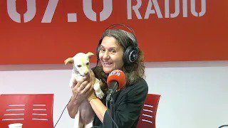 12 cadellets busquen llar i ajuda urgent | Les Engrescades – Núria España