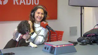 Miní necessita llar: adopció, loteria solidària i novetats de la Protectora d’Amposta | Les Engrescades