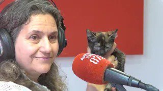 Rocher, supergossos invisibles i històries que toquen el cor Les Engrescades