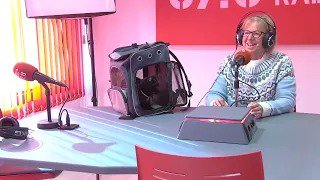 Frígola, el gat cec que dona molt d&rsquo;amor: adopció, consciència i responsabilitat