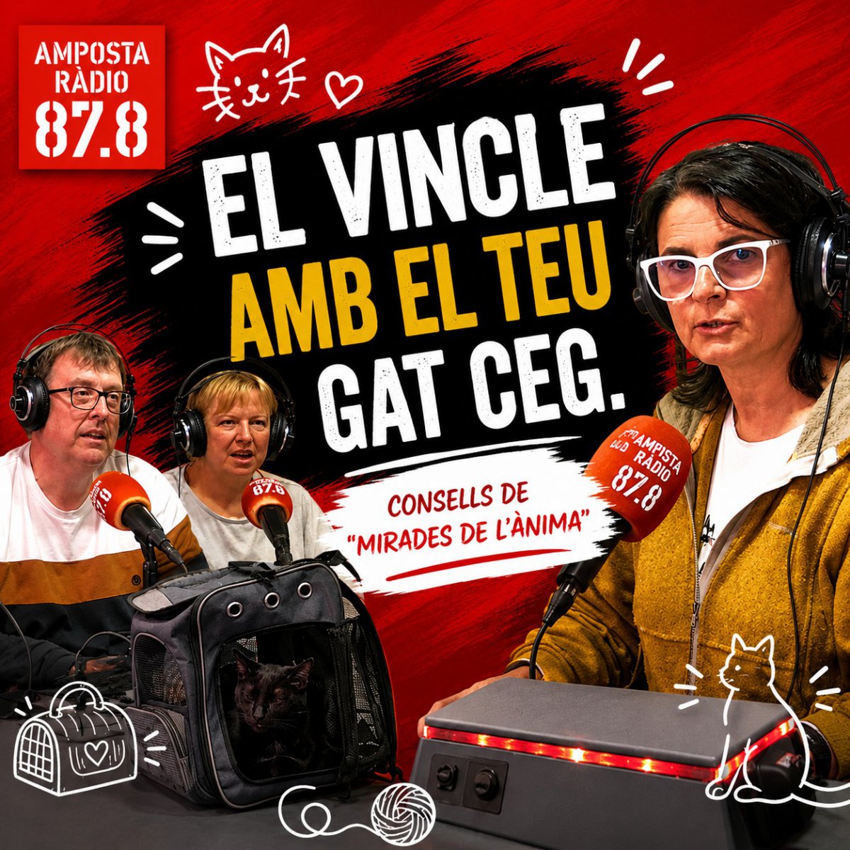 La importància de les rutines en els gats cecs: Entrevista amb Mirades de l&rsquo;ànima