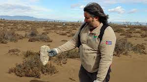 Amposta Sostenible, Neteja de Platges amb Xavi Abril, Tècnic del Parc Natural del Delta de l’Ebre