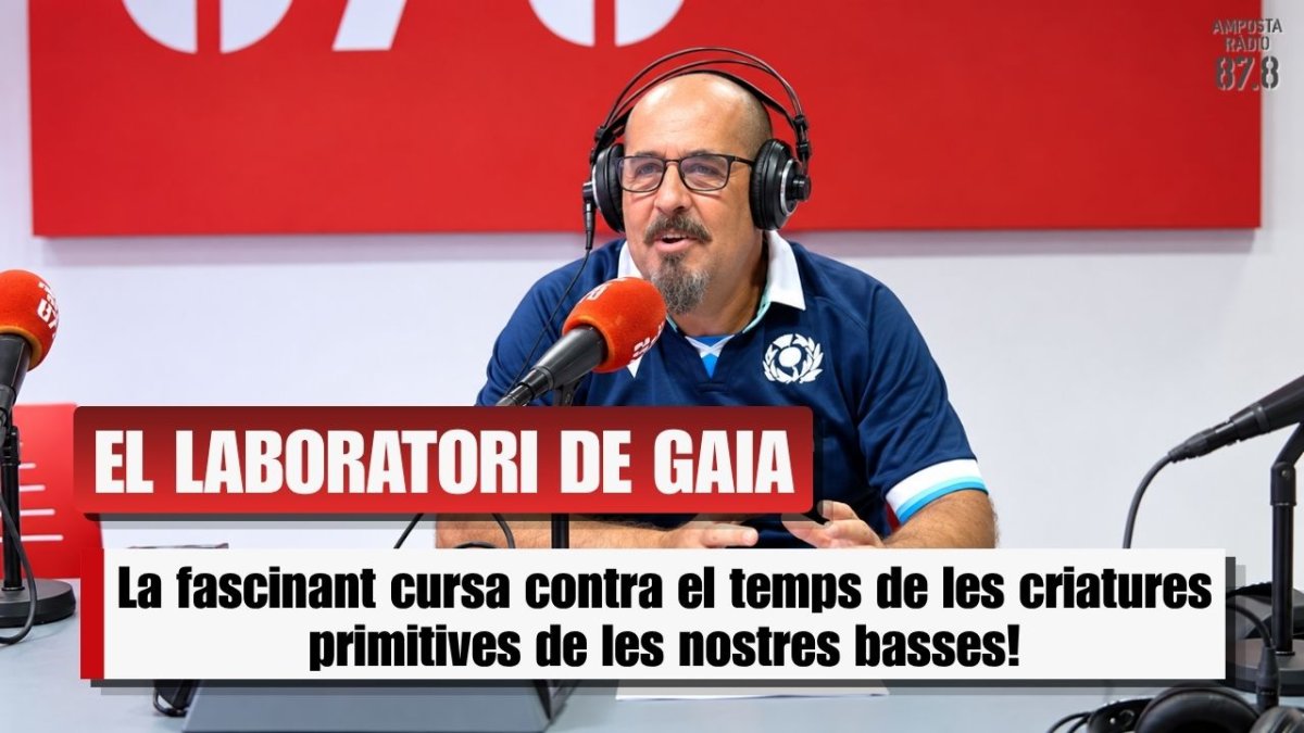 El secret de les BASSES TEMPORALS: Criatures primitives i la cursa contra el temps a l&rsquo;Ebre!