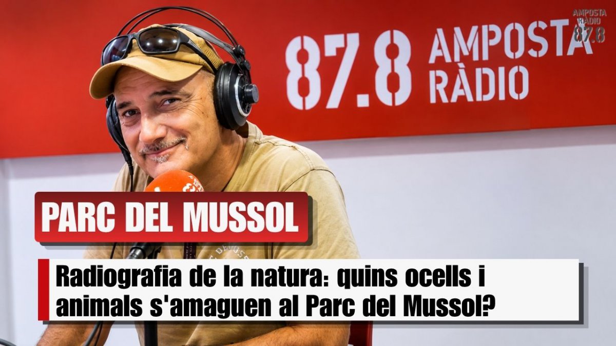 Què és un Bioblitz? Descobreix la fauna del Parc del Mussol amb experts