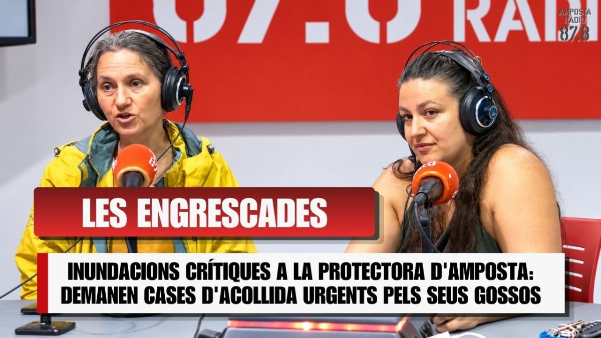INNUNDACIONS CRÍTIQUES A LA PROTECTORA D&rsquo;AMPOSTA